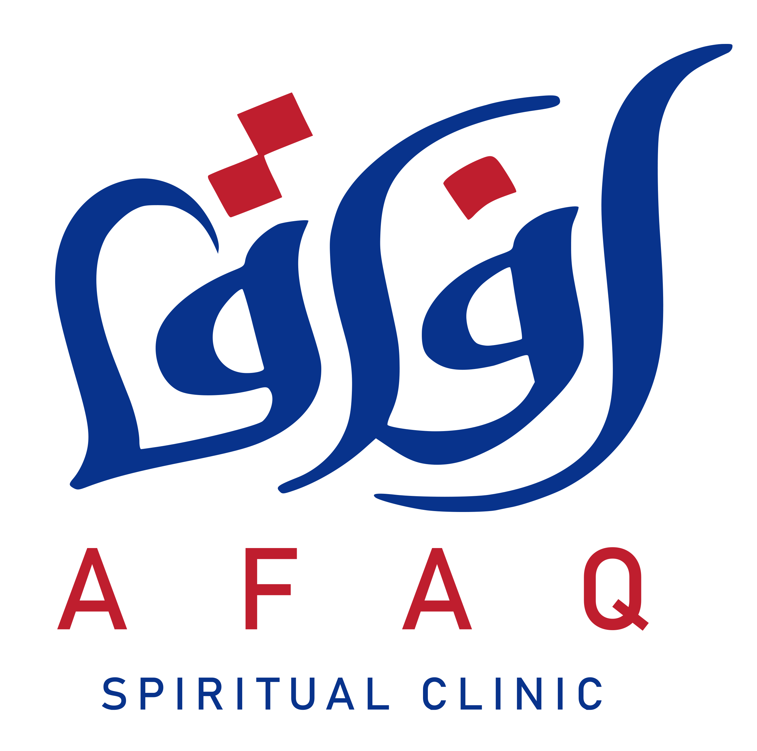 Ali Afaq
